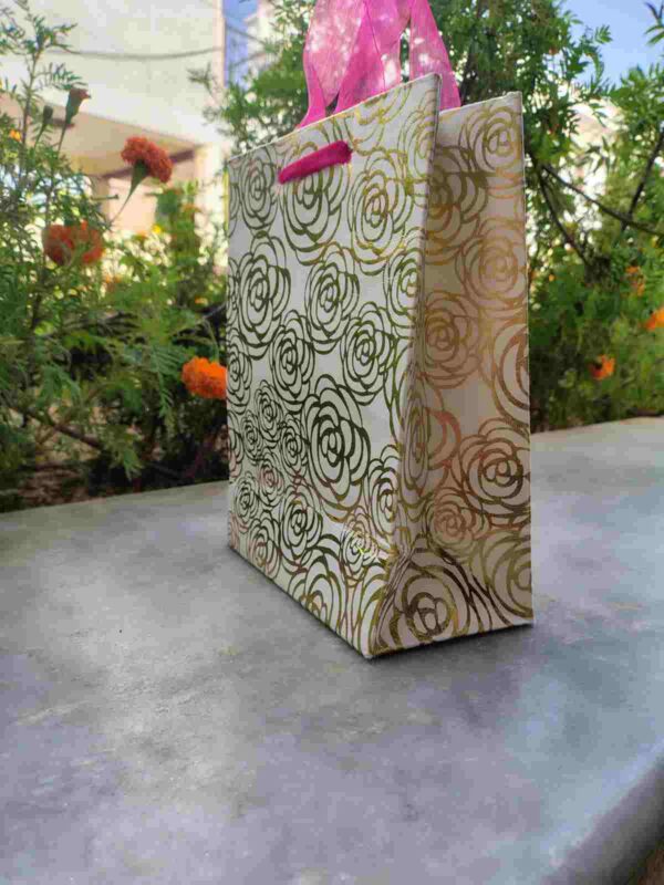Combo of 5 Multicolour Gift Bags