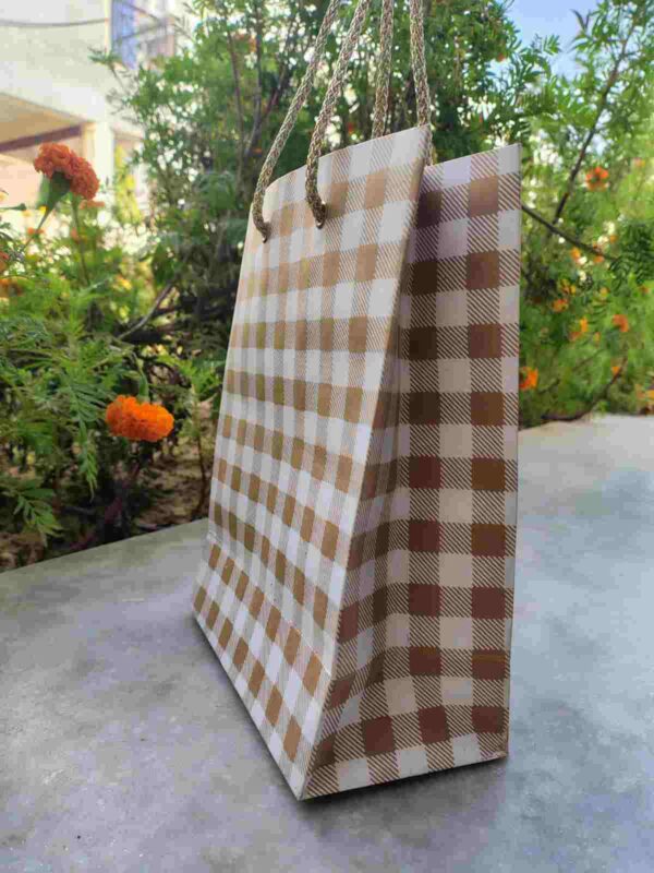 Reusable Printed Gift Bags Set