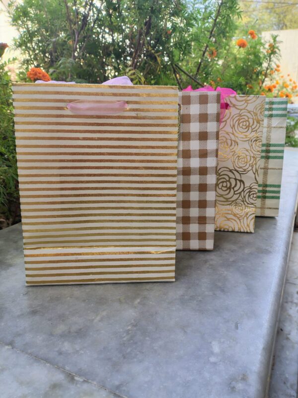 Multicolour Printed Paper Bags Combo Set